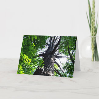 Cartão Alcance para cima