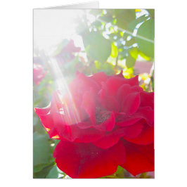 Cartão Alcance para o Sun (5)