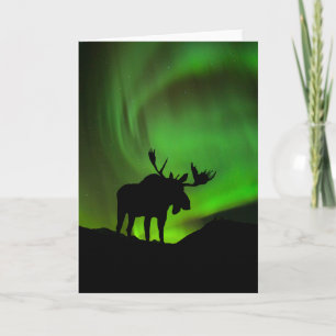 Cartão Alce com Aurora Boreal Verde, Alasca