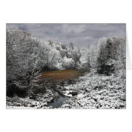 Cartão Alce em Snowy Oxbow