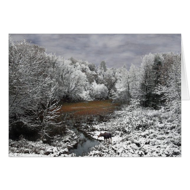 Cartão Alce em Snowy Oxbow (Frente Horizontal)