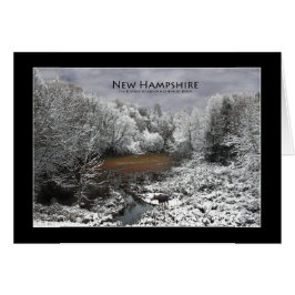 Cartão Alce solitário em uma placa Snowy Oxbow New Hampsh