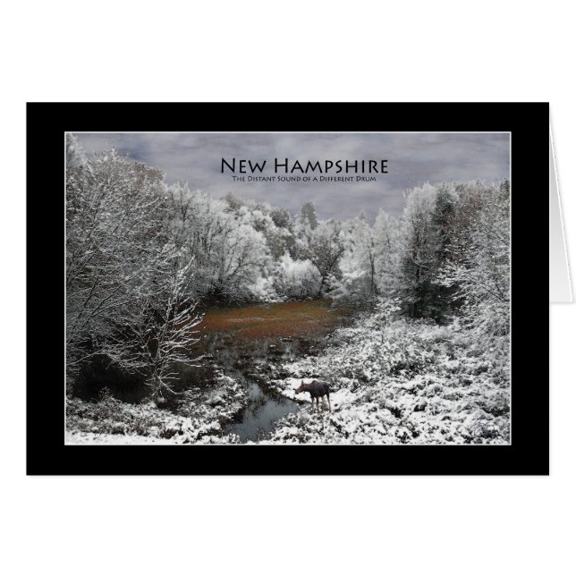 Cartão Alce solitário em uma placa Snowy Oxbow New Hampsh (Frente Horizontal)