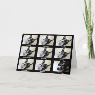 Cartão Alcoólicos Anônimos "Continue voltando..."