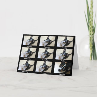 Cartão Alcoólicos Anônimos "Continue voltando..."