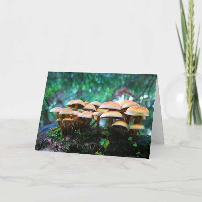 Cartão aldeia de cogumelos (Frente)