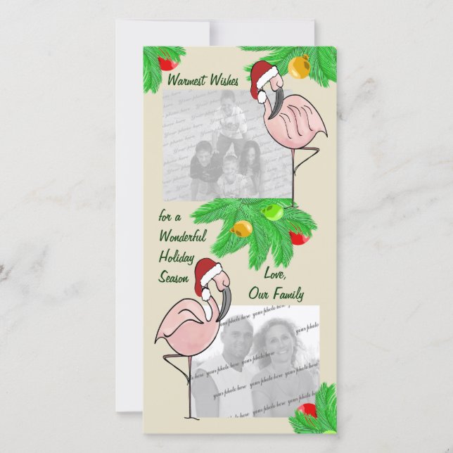 Cartão alegre da foto dos flamingos (Frente)