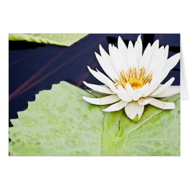 Cartão Alegria (Frente Horizontal)