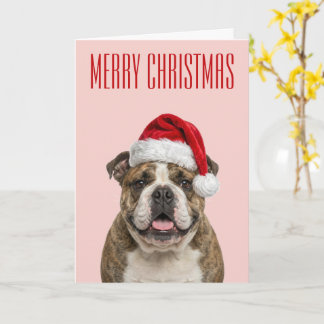 Cartão Alegria de Natal do Bulldog
