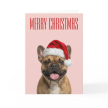 Alegria de Natal do Bulldog Francês