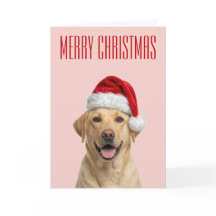Alegria de Natal do Labrador Retriever
