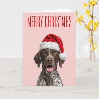 Cartão Alegria de Natal do Pointer Alemão de Pelo Curto