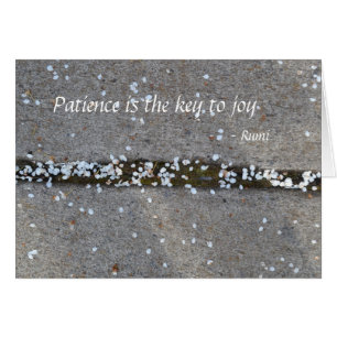 Cartão Alegria de Rumi das pétalas do primavera