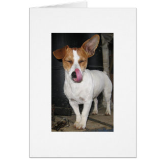 Cartão Alegria que lambe a costeletas