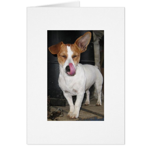 Cartão Alegria que lambe a costeletas (Frente)