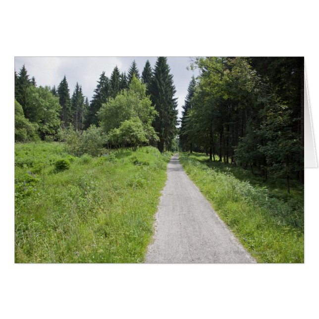 Cartão Alemanha, Turíngia, caminho para a floresta (Frente Horizontal)