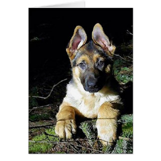 Cartão Alemão-Shepherd Puppy