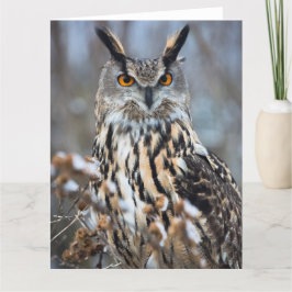 Cartão Alert Eagle Owl