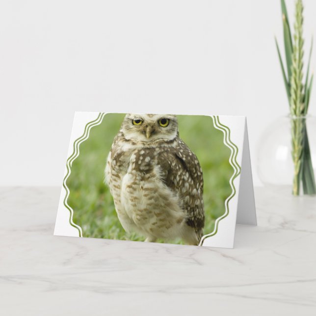 Cartão Alert Owl Greeting Card (Frente)
