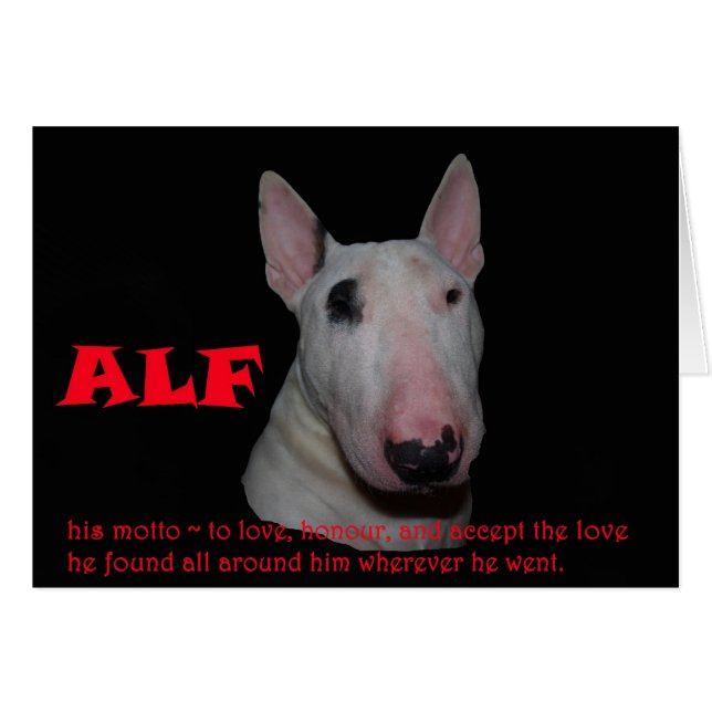 Cartão ALF aceitando o amor (Frente Horizontal)