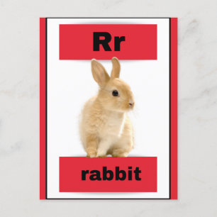 cartão alfabético (com imagem real)