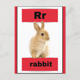 cartão alfabético (com imagem real)