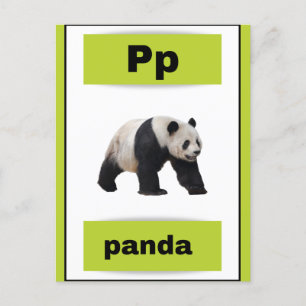 cartão alfabético (com imagem real)