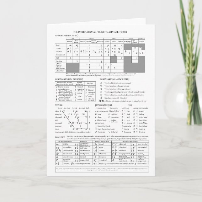 Cartão Alfabeto Fonético Internacional (Frente)