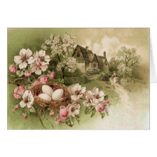 Cartão Algodão De Ovo De Pássaros De Árvore Dogwood