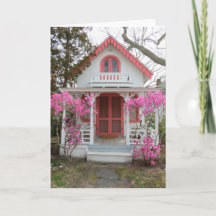 Algodão primavera e Vitoriano - Vinha de Martha