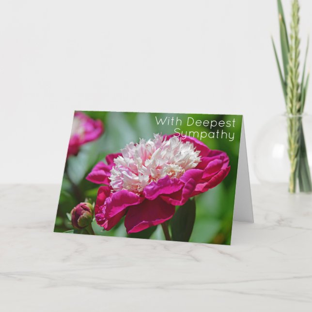 Cartão Algodão Rosa, Peony Garden, Flor Mais Profundo Sim (Frente)