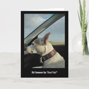 Cartão Alguém Disse "Viagem De Estrada"?