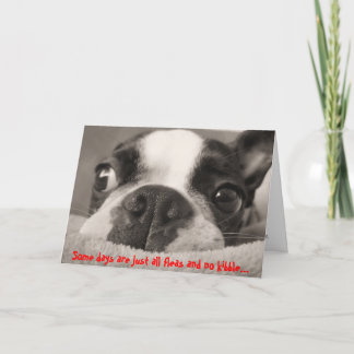 Cartão Alguns dias são apenas pulgas e sem kibble