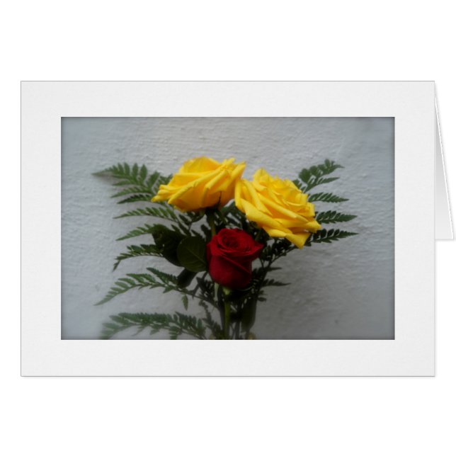 Cartão (Alguns Rosas são vermelhos) (Frente Horizontal)