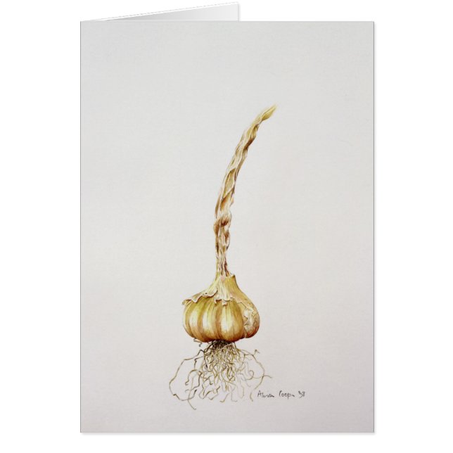 Cartão alho 1998 (Frente)