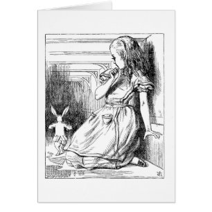 Cartão Alice cresce maior