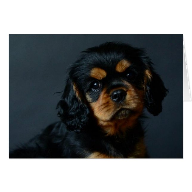 Cartão Alices desi.jpg (Frente Horizontal)