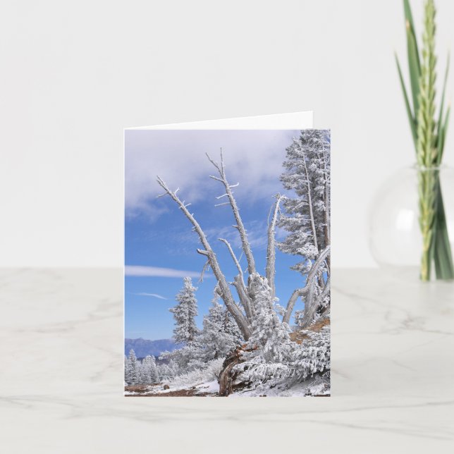 Cartão Alien Lifeform (Frente)