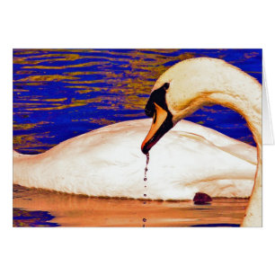 Cartão Alimentação das cisnes