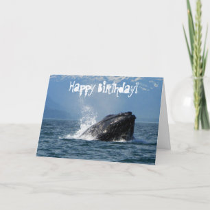 Cartão Alimentação de baleias jubarte