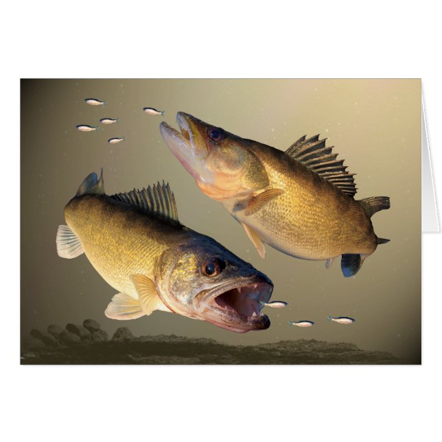 Cartão Alimentação de dois Walleye (Frente Horizontal)