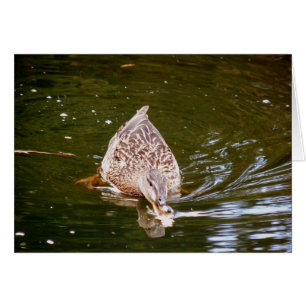 Cartão Alimentação de Pato Cortado