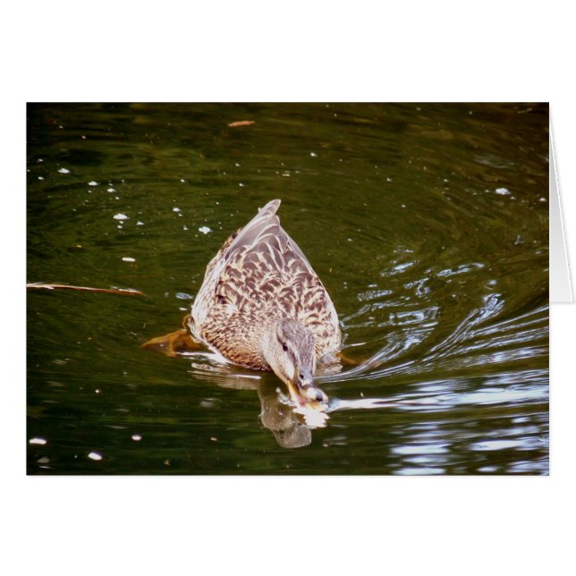 Cartão Alimentação de Pato Cortado (Frente Horizontal)