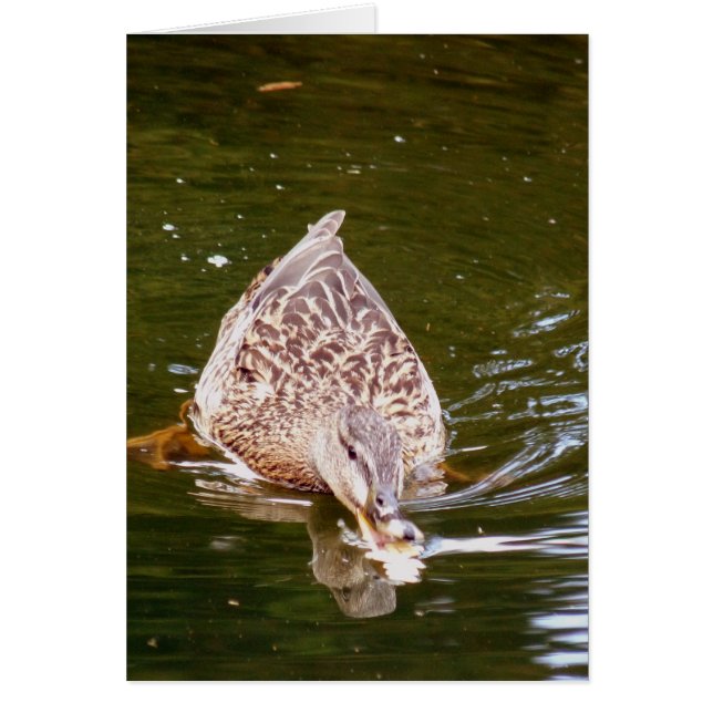 Cartão Alimentação de Pato Cortado (Frente)