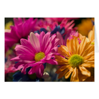 Cartão Alimentação do ventilador