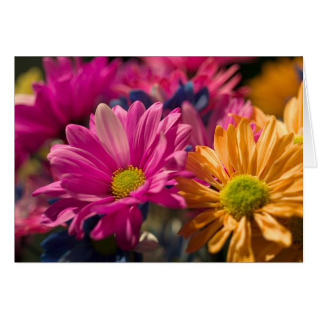 Cartão Alimentação do ventilador (Frente Horizontal)