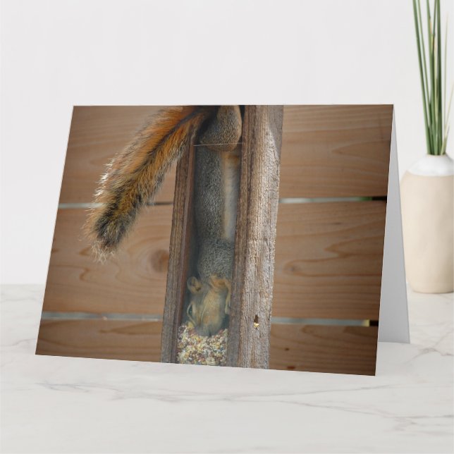 Cartão Alimentador de aves de elevação de esquilo (Frente)