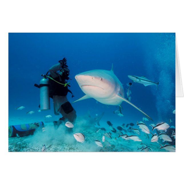 Cartão Alimentando a Bull (Frente Horizontal)