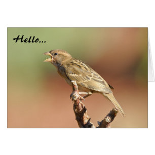 Cartão Alimente-me!