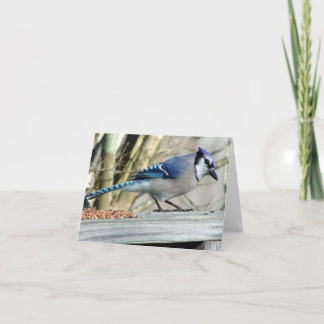 Cartão all occasion